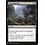Magic: The Gathering Spreading Rot (779) Near Mint