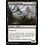 Magic: The Gathering Feral Abomination (657) Near Mint