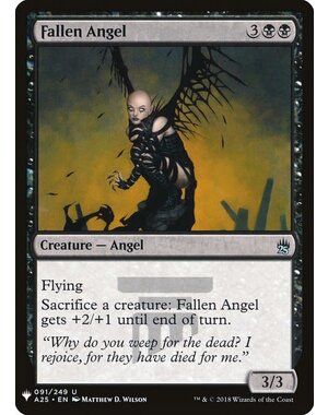 Magic: The Gathering Fallen Angel (653) Near Mint