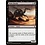 Magic: The Gathering Dune Beetle (641) Near Mint
