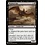 Magic: The Gathering Blighted Bat (578) Near Mint
