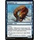 Magic: The Gathering Windrider Eel (551) Near Mint