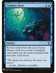 Magic: The Gathering Treasure Hunt (531) Near Mint