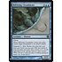 Magic: The Gathering Riftwing Cloudskate (469) Near Mint
