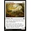 Magic: The Gathering Silverchase Fox (231) Near Mint
