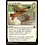 Magic: The Gathering Eyes in the Skies (103) Near Mint