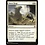Magic: The Gathering Sheer Drop (226) Near Mint