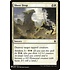 Magic: The Gathering Sheer Drop (226) Near Mint