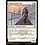 Magic: The Gathering Seeker of the Way (221) Near Mint