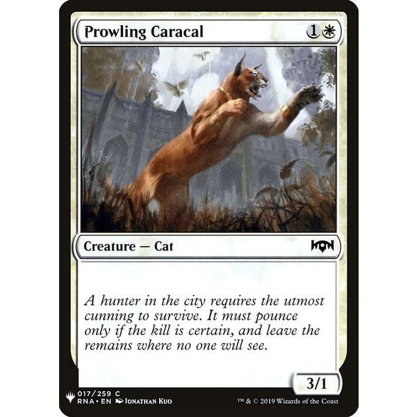 Magic: The Gathering Prowling Caracal (203) Near Mint
