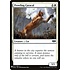 Magic: The Gathering Prowling Caracal (203) Near Mint