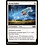 Magic: The Gathering Hyena Umbra (137) Near Mint