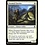 Magic: The Gathering Doomed Traveler (083) Near Mint