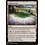 Magic: The Gathering Blighted Fen (1658) Near Mint