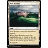 Magic: The Gathering New Benalia (1681) Near Mint