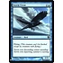 Magic: The Gathering Storm Crow (031) Near Mint Foil