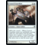 Magic: The Gathering Council Guardian (035) Near Mint Foil