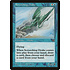 Magic: The Gathering Screeching Drake (044) Lightly Played