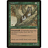 Magic: The Gathering Lynx (132) Lightly Played