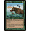 Magic: The Gathering River Bear (144) Moderately Played