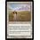 Magic: The Gathering Flowering Field (009) Moderately Played