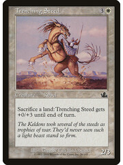 Magic: The Gathering Trenching Steed (026) Heavily Played