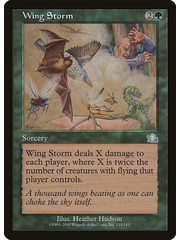 Magic: The Gathering Wing Storm (135) Lightly Played