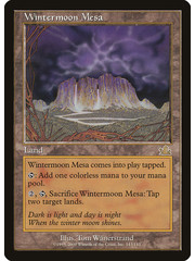 Magic: The Gathering Wintermoon Mesa (143) Heavily Played