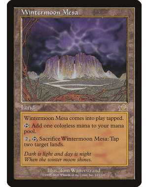 Magic: The Gathering Wintermoon Mesa (143) Heavily Played