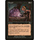 Magic: The Gathering Despoil (062) Moderately Played