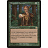 Magic: The Gathering Forgotten Harvest (114) Moderately Played