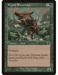 Magic: The Gathering Pygmy Razorback (120) Heavily Played