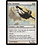 Magic: The Gathering Kor Aeronaut (017) Moderately Played