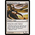 Magic: The Gathering Shepherd of the Lost (034) Moderately Played