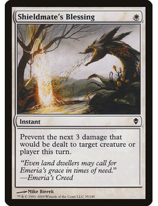 Magic: The Gathering Shieldmate's Blessing (035) Lightly Played