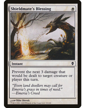 Magic: The Gathering Shieldmate's Blessing (035) Lightly Played