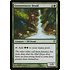 Magic: The Gathering Greenweaver Druid (164) Moderately Played