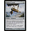 Magic: The Gathering Explorer's Scope (202) Moderately Played