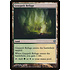 Magic: The Gathering Graypelt Refuge (214) Lightly Played