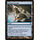 Magic: The Gathering Soaring Seacliff (225) Moderately Played