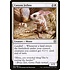 Magic: The Gathering Canyon Jerboa (007) Near Mint Foil