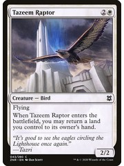 Magic: The Gathering Tazeem Raptor (043) Near Mint