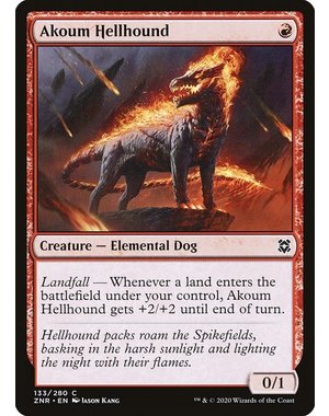 Magic: The Gathering Akoum Hellhound (133) Moderately Played Foil