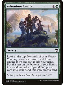 Magic: The Gathering Adventure Awaits (177) Near Mint
