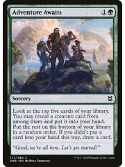 Magic: The Gathering Adventure Awaits (177) Near Mint Foil