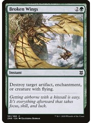 Magic: The Gathering Broken Wings (181) Near Mint