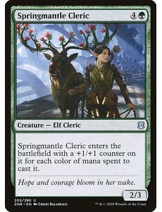 Magic: The Gathering Springmantle Cleric (205) Near Mint