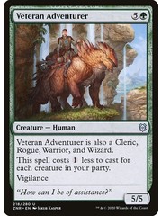 Magic: The Gathering Veteran Adventurer (218) Near Mint