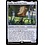 Magic: The Gathering Codie, Vociferous Codex (253) Near Mint