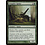 Magic: The Gathering Grappler Spider (102) Moderately Played
